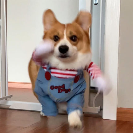 Deadly Doll Holding a Knife Halloween Costume for Dogs