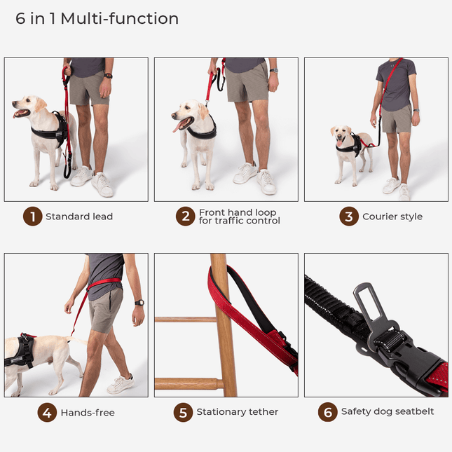 Multifunction Hands Free Dog Leash