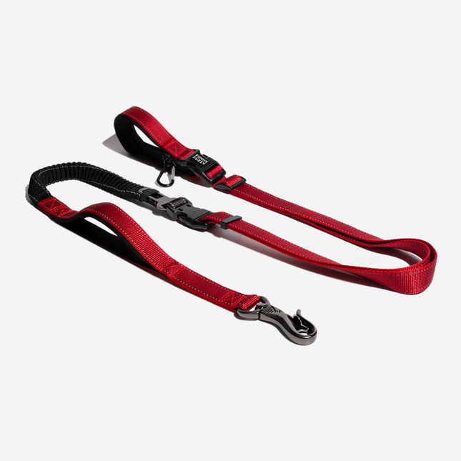 Multifunction Hands Free Dog Leash