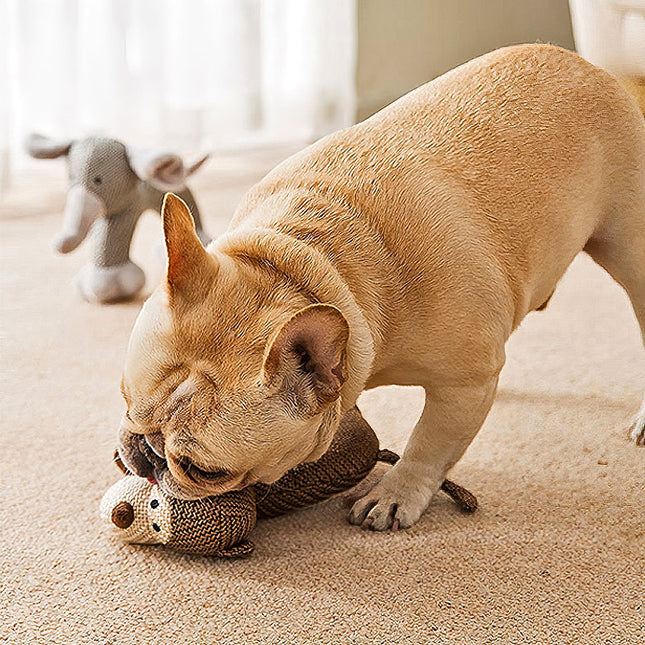 Animal Squeaky Plush Dog Toy