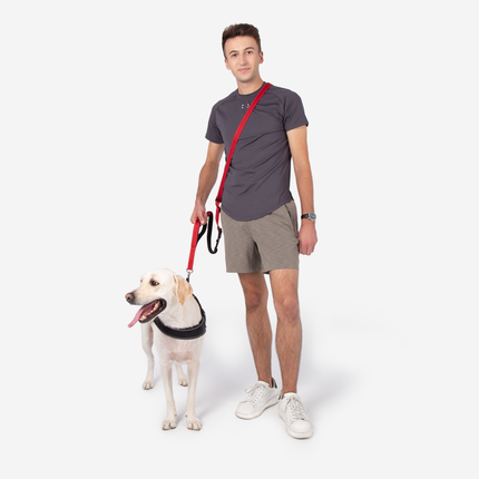 Multifunction Hands Free Dog Leash