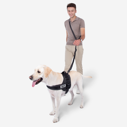 Multifunction Hands Free Dog Leash